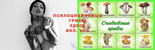 ECSTASY Зеленокумск