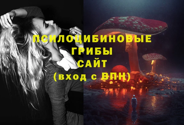 меф Зеленодольск