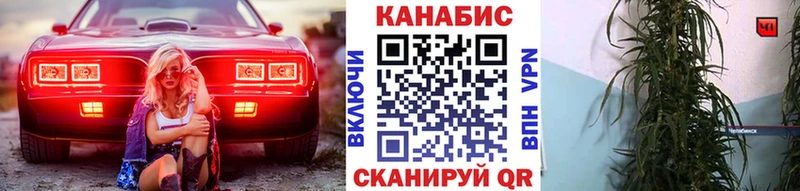 Купить  Кольчугино  Бошки марихуана ГИДРОПОН 